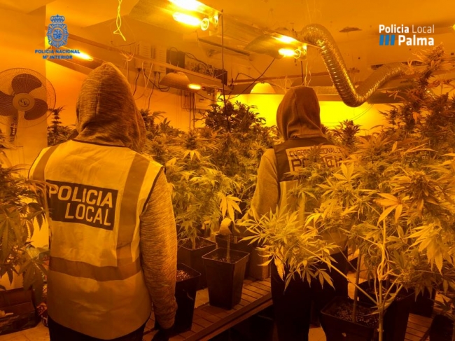 Policía Nacional y Policía Local de Palma desmantelan un punto de venta de droga