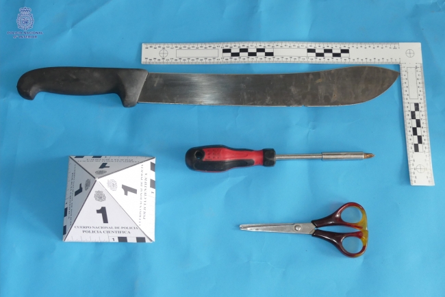 La Policía Nacional detiene a un joven por malos tratos y amenazas