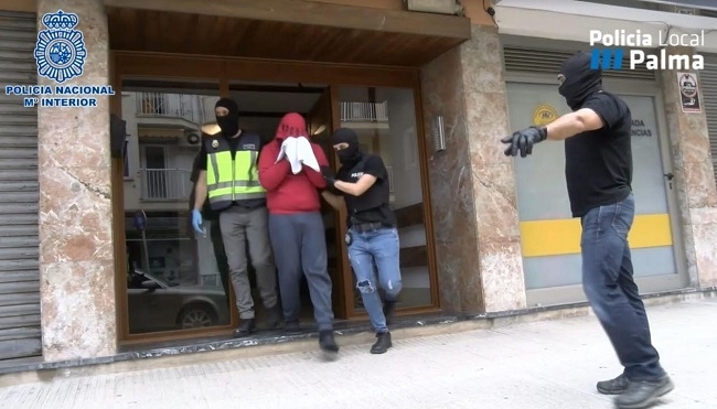 La Policía Nacional y la Policía Local de Palma desmantelan una plantación de marihuana en un piso