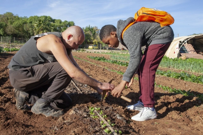 Agricultura organiza dos concursos para promocionar el producto local entre los alumnos de primaria