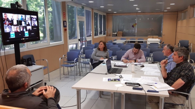 Aprueban por unanimidad medidas nuevas en la caza de la tórtola