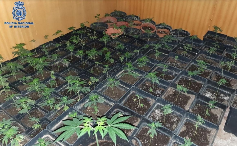 La Policía Nacional detiene a tres personas por un delito contra la salud pública 