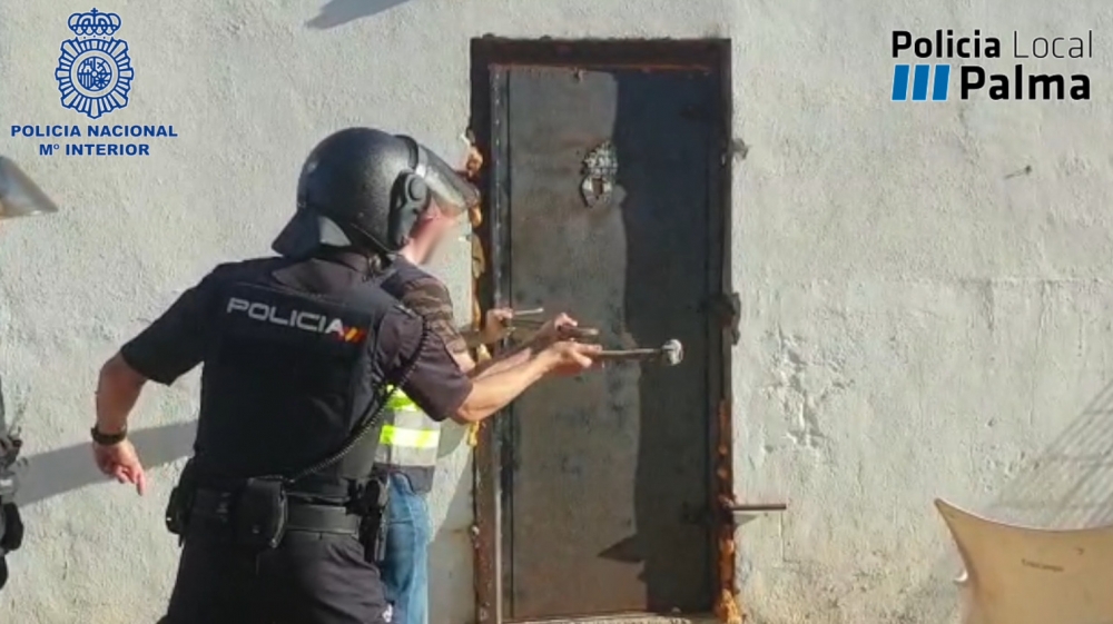 La Policía Nacional desmantela una plantación de marihuana que distribuía a Son Banya