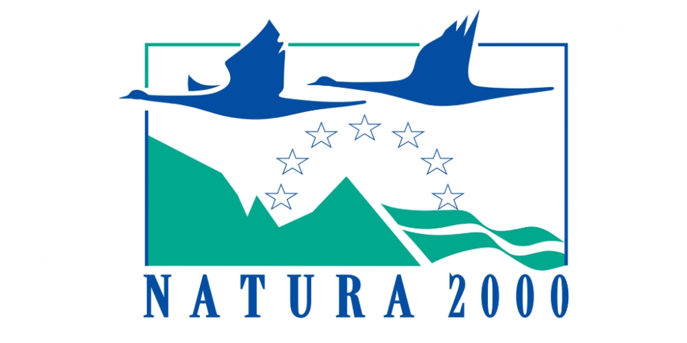 El Plan de gestión Natura 2000 Illa de l'Aire protege la diversidad y singularidad faunística de este espacio protegido