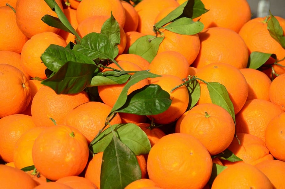El precio de venta al público de las naranjas en mercados y grandes superficies dobla el de origen