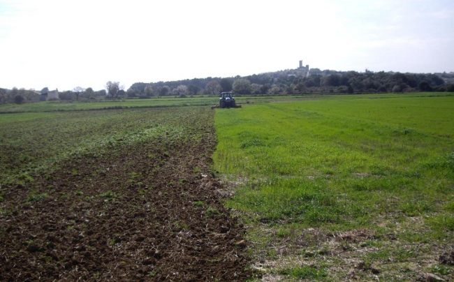 El FOGAIBA abona más de 2,7 millones de euros en ayudas al sector agrario