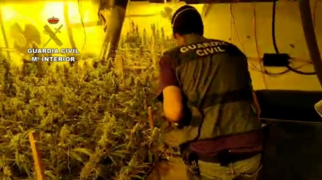 La Guardia Civil desmantela una organización criminal dedicada a la distribución de marihuana por toda Europa