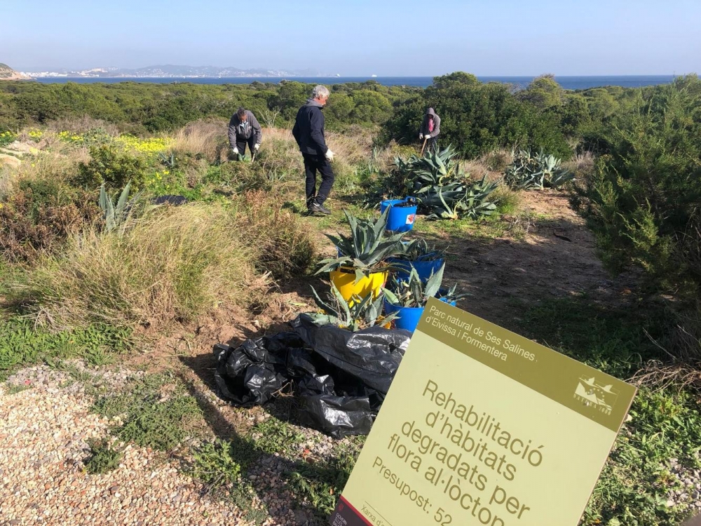 Retiradas 17,6 toneladas de residuos en el Parque Natural de Ses Salines de Eivissa y Formentera