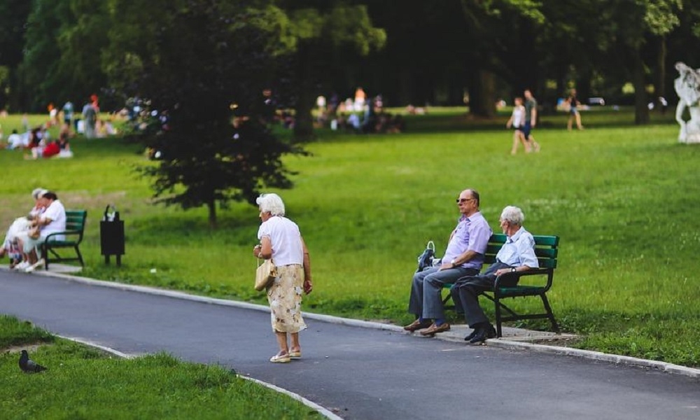 El gasto en pensiones contributivas se sitúa en el 11,8% del PIB