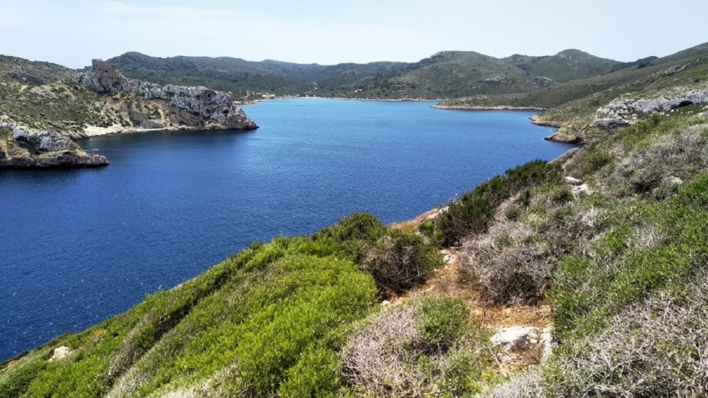 La gestión de Cabrera sufre por la falta de acuerdo entre la CAIB y el Estado