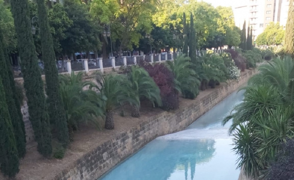 El GOB pide una hoja de ruta para la renaturalización de los torrentes de Palma