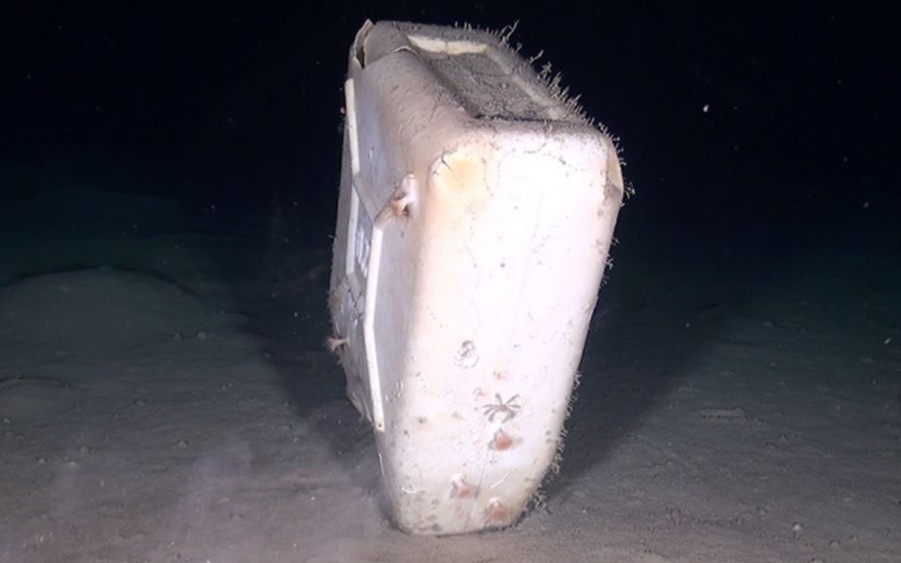 Oceana rechaza que el Ministerio fomente la pesca de basura con artes de arrastre