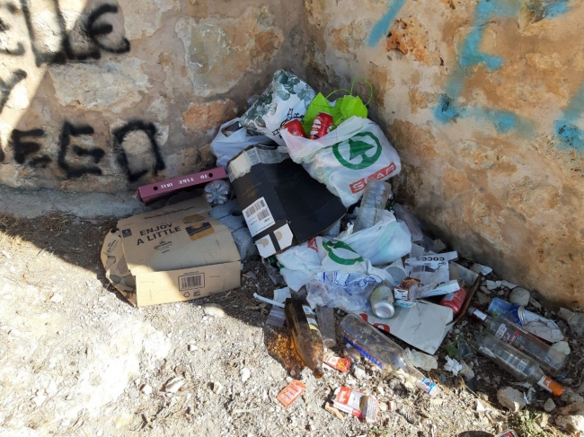 Cs Palma denuncia la dejadez de Emaya en el mirador de Na Burguesa