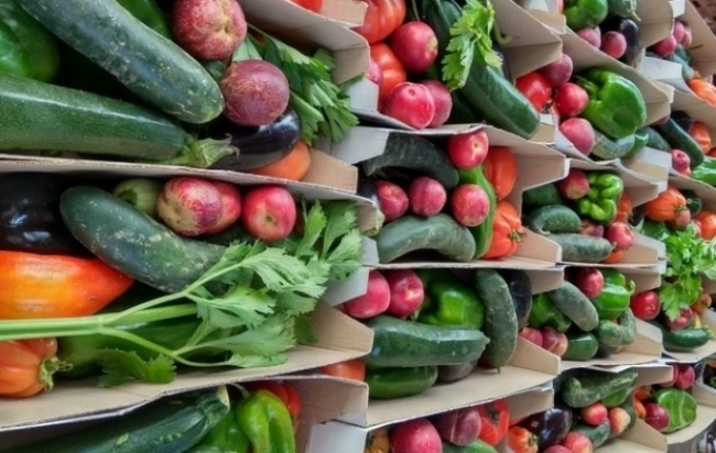 4 millones de euros para inversiones en la transformación y comercialización de productos agrícolas