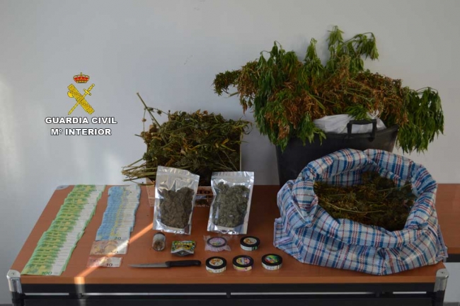 La Guardia Civil de Calviá detiene a un grupo dedicado al cultivo y venta de marihuana