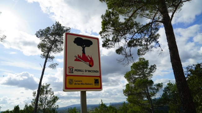 La Conselleria de Agricultura convoca a los ayuntamientos para abordar la prevención de incendios forestales en las Illes Balears