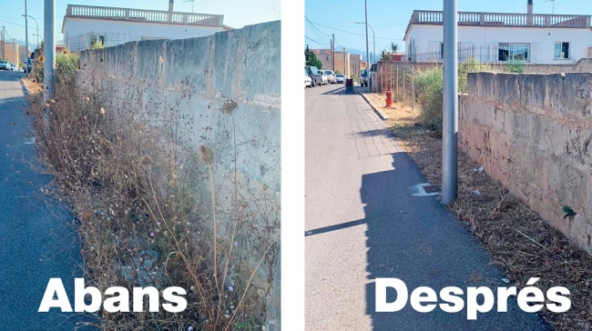 EMAYA ha completado un total de 217 actuaciones de erradicación de malas hierbas en 55 barrios entre mayo y julio