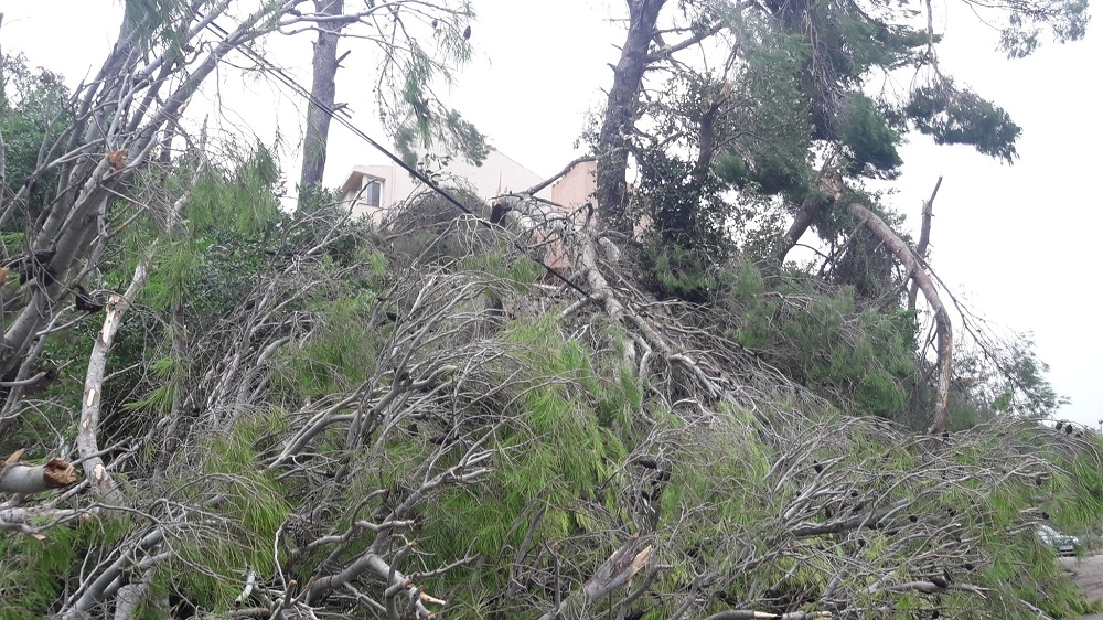 Pedirán que se declare Zona gravemente afectada las áreas de Tramuntana más dañadas por el temporal