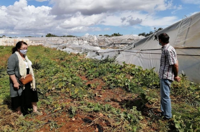 Inician las inspecciones para conocer los daños provocados en los cultivos por el cap de fibló y la granizada