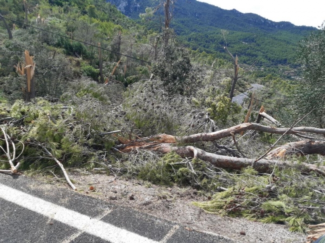 Infraestructuras evalúa los daños ocasionados por la tormenta