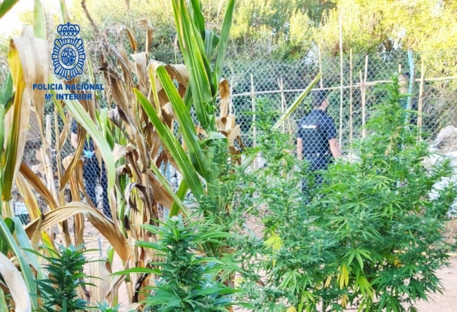 La Policía Nacional detiene a dos personas por un delito contra el tráfico de drogas