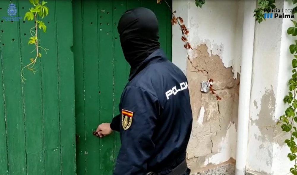 La Policía Nacional y la Policía Local de Palma detienen a una mujer con 25 kilos de marihuana en cogollos