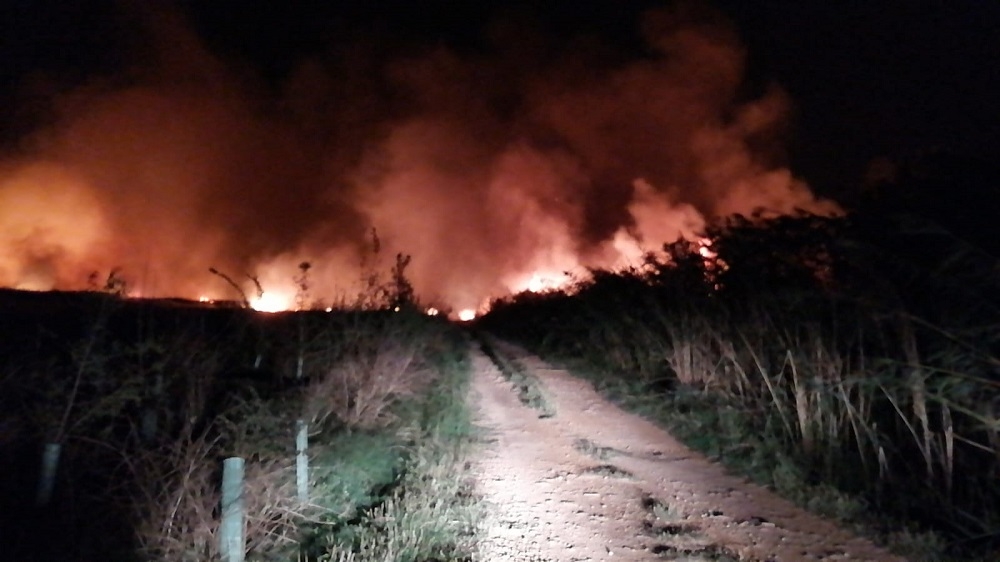 Un gran incendio en el Parc Natural de s’Albufera
