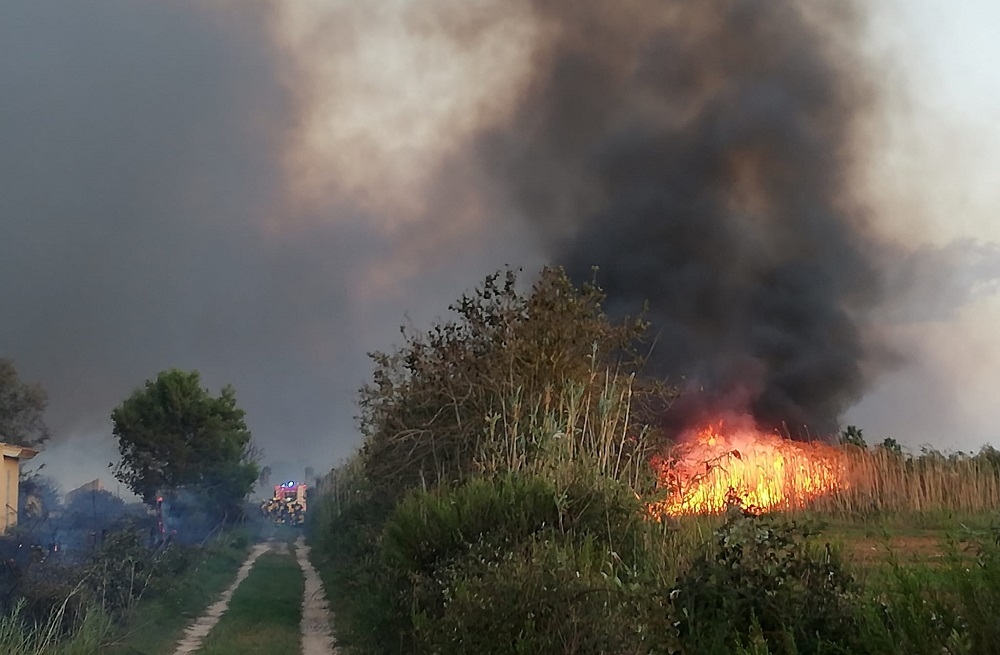 Extinguido el incendio de S'Albufera después de quemar 438 hectáreas