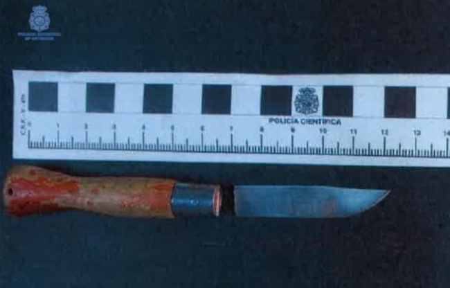 La Policía Nacional de Palma ha detenido dos hombres por un delito de lesiones graves