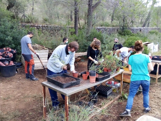 El IMAS pone en marcha el proyecto de formación y empleo RAIXA 2020