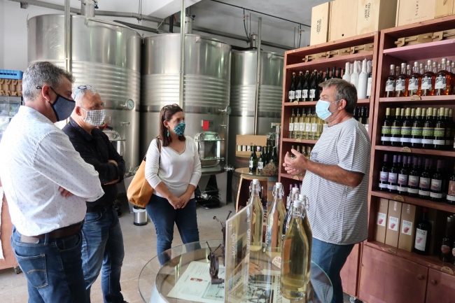 El Consell visita a dos artesanos del sector del vino de Santa María del Camí