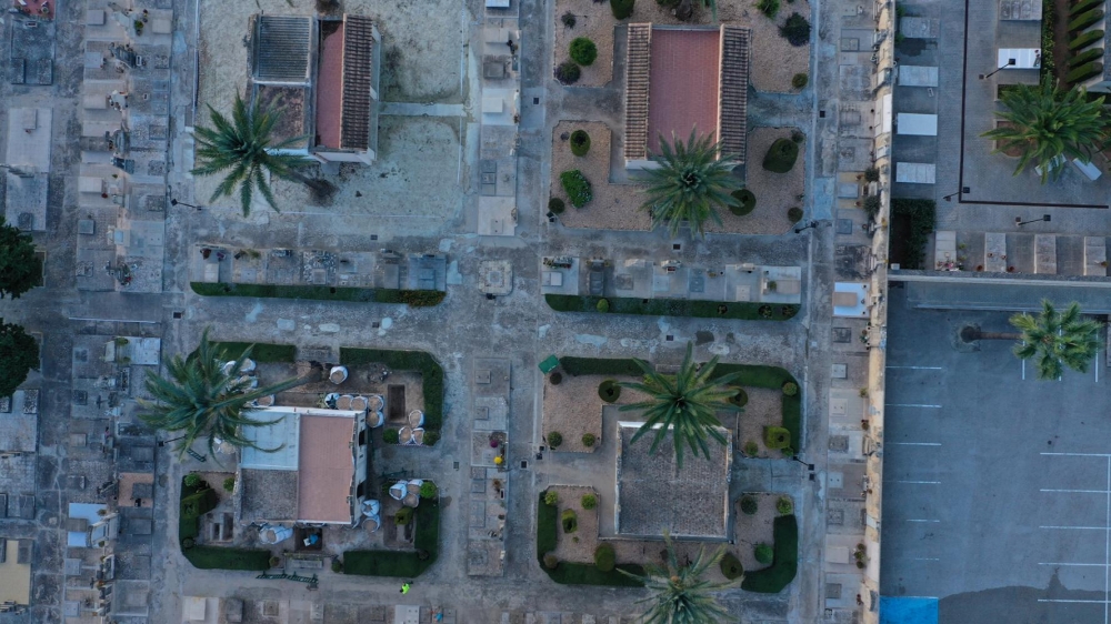 Descartada como fosa común la zona ajardinada intervenida en el cementerio de Porreres