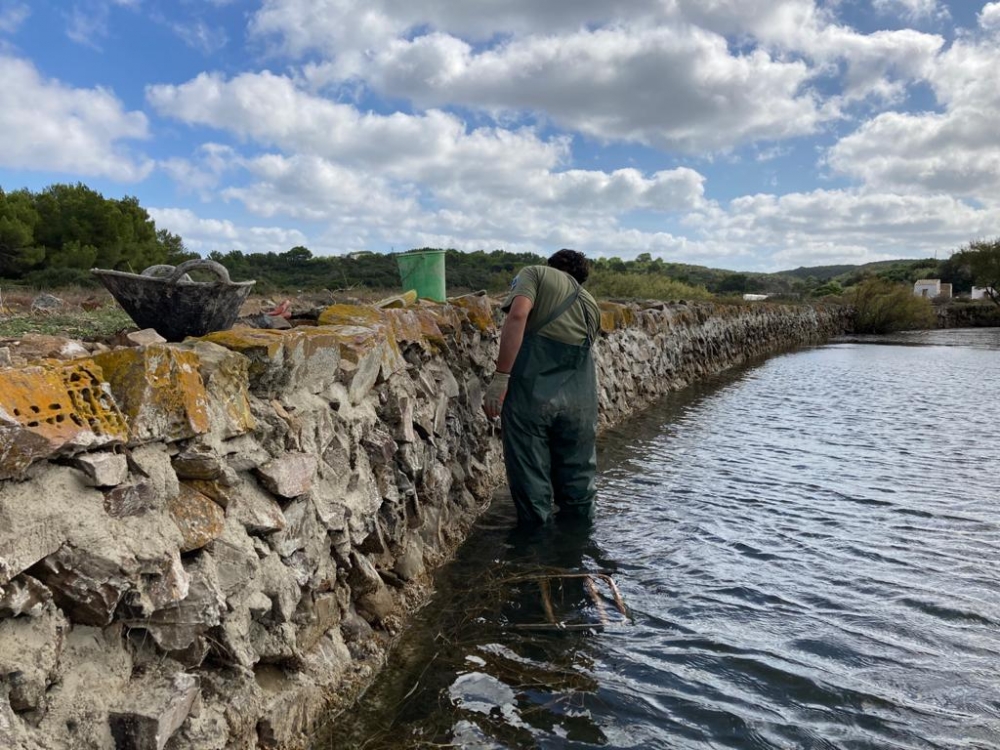 Finalizan las tareas de mantenimiento y restauración de la pared maestra de s’Albufera des Grau