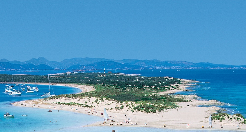 El Govern ofrecerá a partir de ahora datos estadísticos actualizados sobre el turismo que visita Formentera