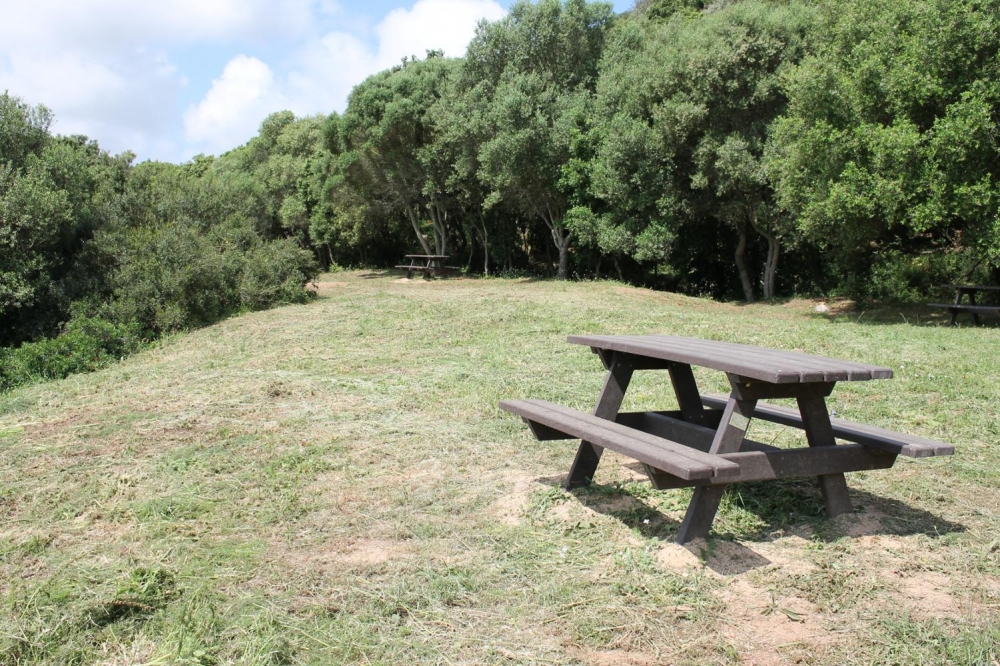 El Govern reabre las áreas recreativas gestionadas por la IBANAT