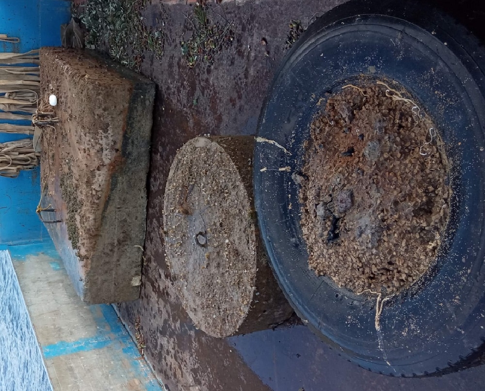 Medi Ambient retira tres ‘muertos’ de fondeo ilegal de la bahía de Fornells