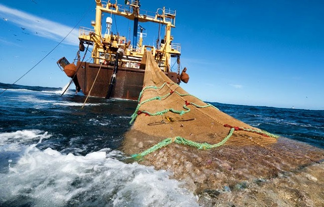 El 94% de las embarcaciones pesqueras analizadas por Oceana en el Mediterráneo español operan con motores presuntamente trucados