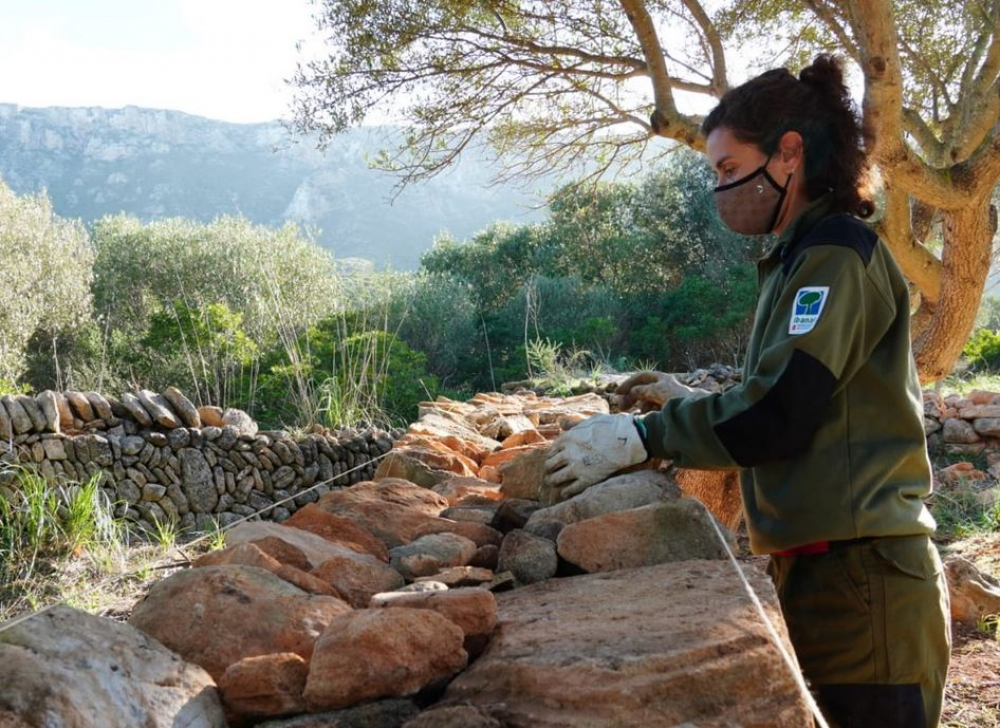 El programa SOIB 30 permite la contratación de 61 personas 