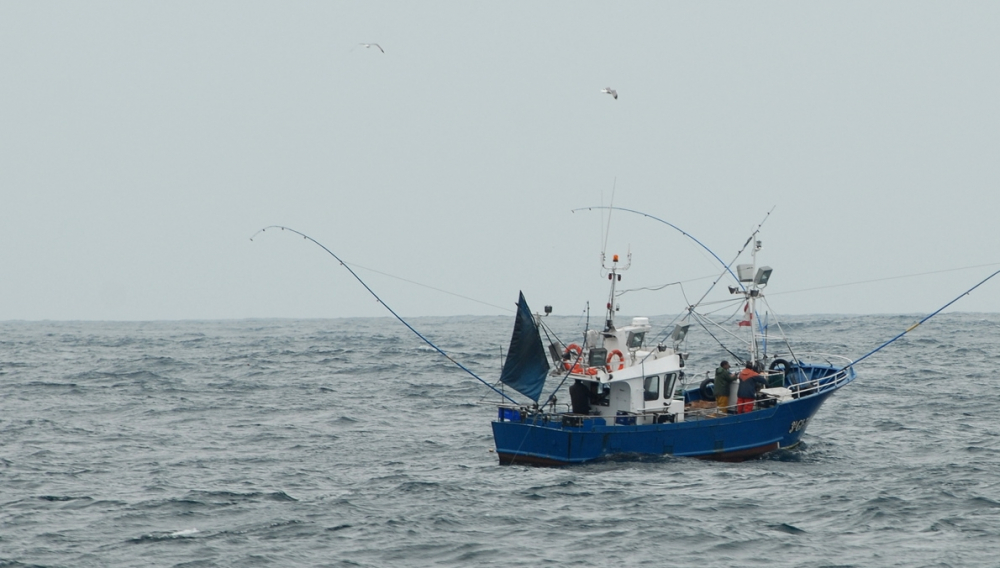 Oceana: La UE fracasa en asegurar la explotación sostenible de los stocks pesqueros
