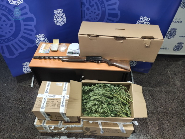 Desmantelan una plantación de marihuana en Palma