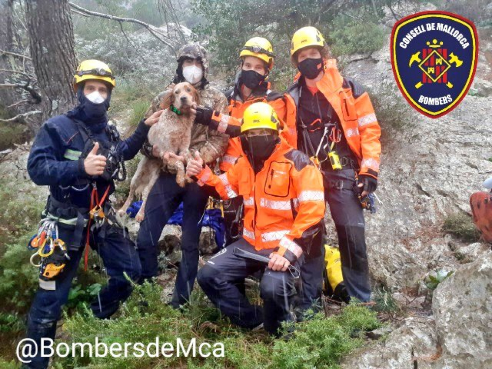 Bomberos de Mallorca rescatan a un perro en una sima de 35 metros de profundidad