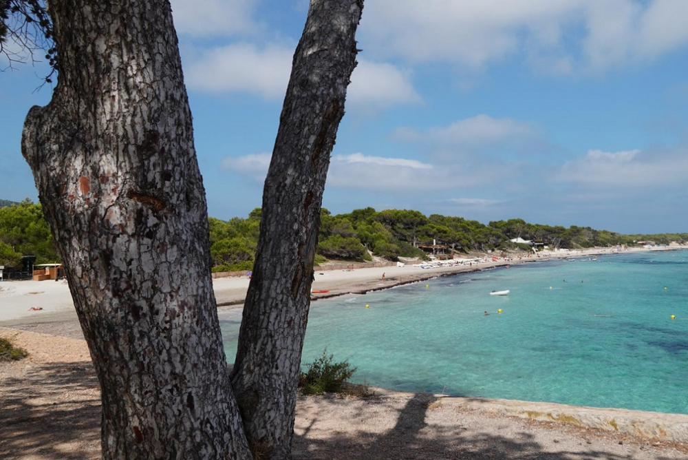El Parque Natural de Ses Salines prioriza peatones y ciclistas para proteger los recursos naturales
