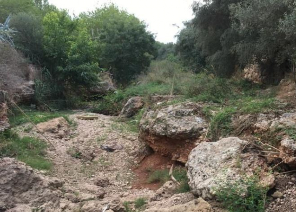 El Consell inicia la intervenció paisatgística al Torrent Gros