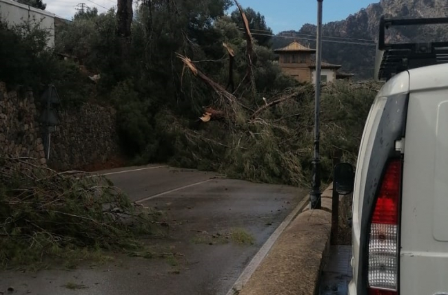 El equipo de emergencias en carreteras del Consell atiende 38 incidencias provocadas por la tormenta Hortensia