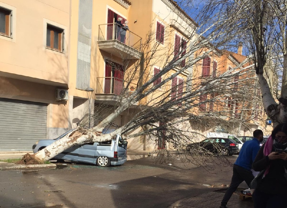 320 incidentes y vientos record de 130 km/h en Mallorca