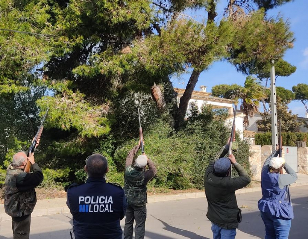 La Asociación de Cazadores de Manacor ayuda en el control de la procesionaria