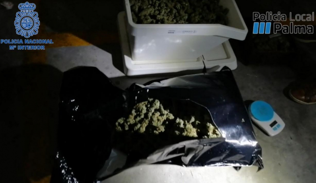 Desmantelado un punto de venta de droga cercano a centro escolares y deportivos en Palma