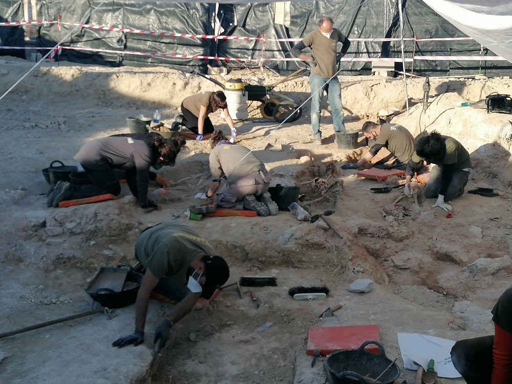 Se confirma la existencia de al menos dos fosas debajo del bloque de nichos en Porreres