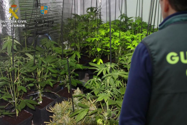 La Guardia Civil ha detenido a un hombre por tráfico de drogas en Ibiza