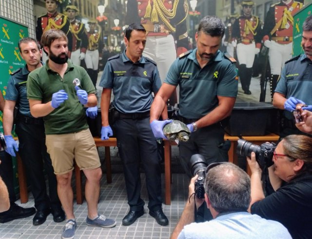 Balears y Canarias pedirán un sistema de control de especies exóticas en los puertos y aeropuertos del Estado